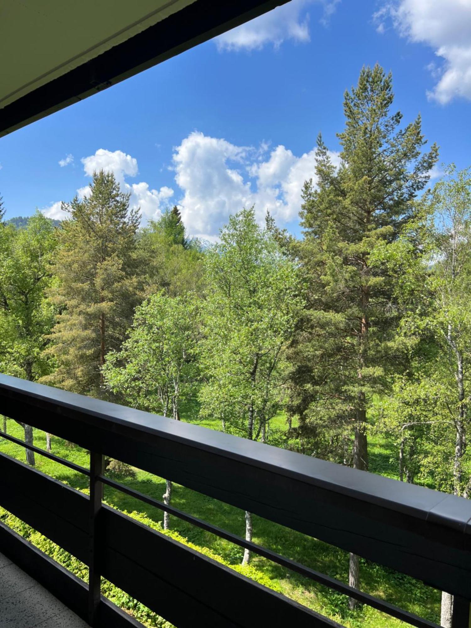 Appartementhaus Birkenwald Seefeld in Tirol Extérieur photo